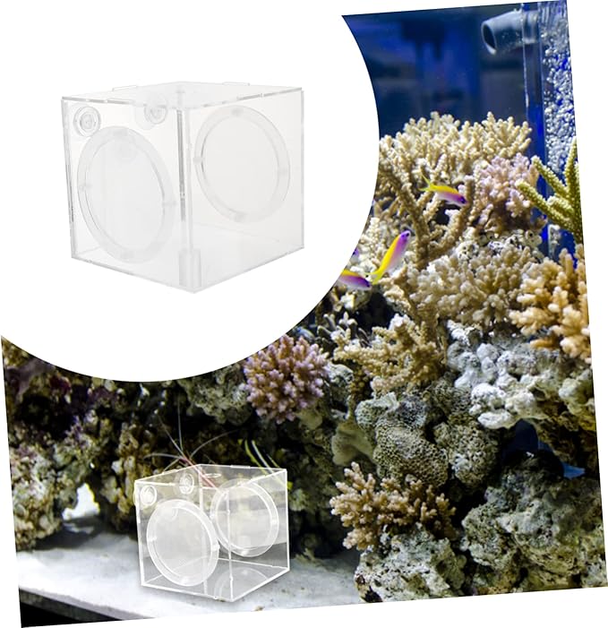 Fish Breeding Box Acrylic Isolation Hatchery for Aquarium Breeder Chamber Portable and Lightweight Fish Tank Divider to Survival Rate