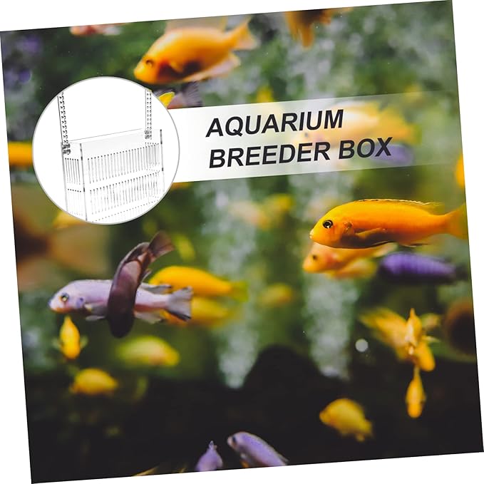 ERINGOGO Hanging Isolation Box for Guppy Breeding Acrylic Fish Tank Hatchery Easy Installation Hook Observation Design for Betta and Mini Parrot Fish