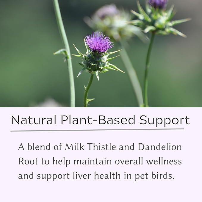 Milk Thistle & Dandelion Root Supplement for Birds – Active Liver Support Powder, Liver Formula for Parrots, 200 Servings