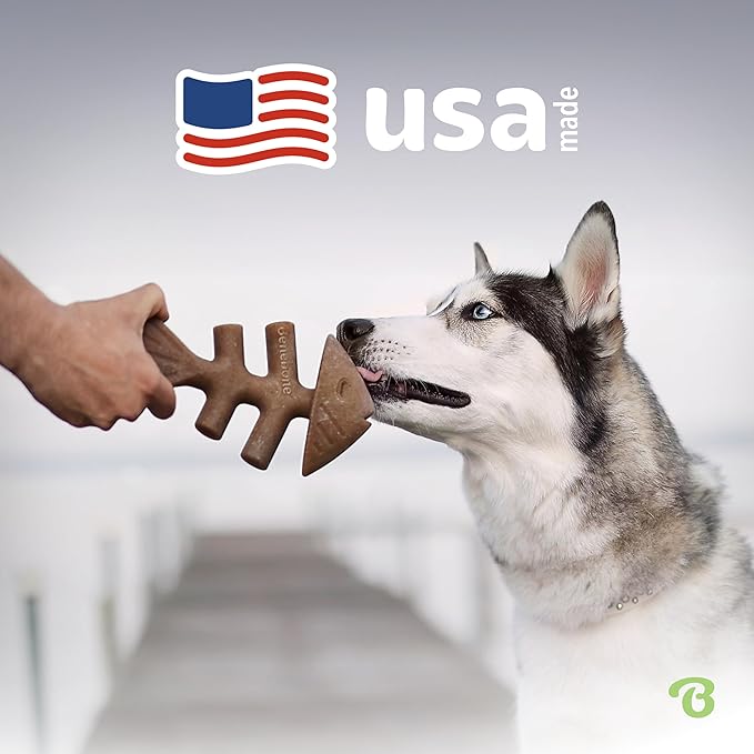 Benebone Fishbone Durable Dog Chew Toy for Aggressive Chewers, Real Fish, Made in USA, Giant