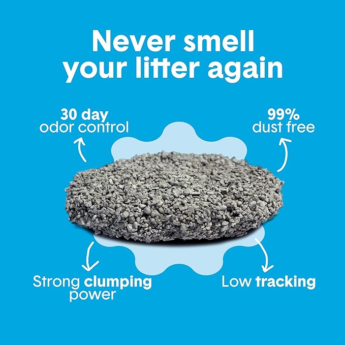 Boxie Unscented 30 Day Odor Control Clumping Clay Cat & Kitty Litter 16 lb, 99.9% Dust-Free, Hard Flat Top Clumps, No Fragrances No Fillers, Long-Lasting, Easy to Scoop