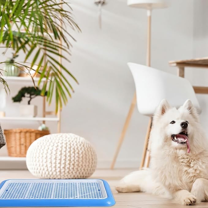 Mifoci 1 Pcs Dog Potty Tray Mesh Puppy Training Pad Holder Floor Protection Portable Pee Pad Pet Toilet Training Tray Litter Box Corner for Medium and Large Dogs (25.6 x 18.9 Inch,Blue)