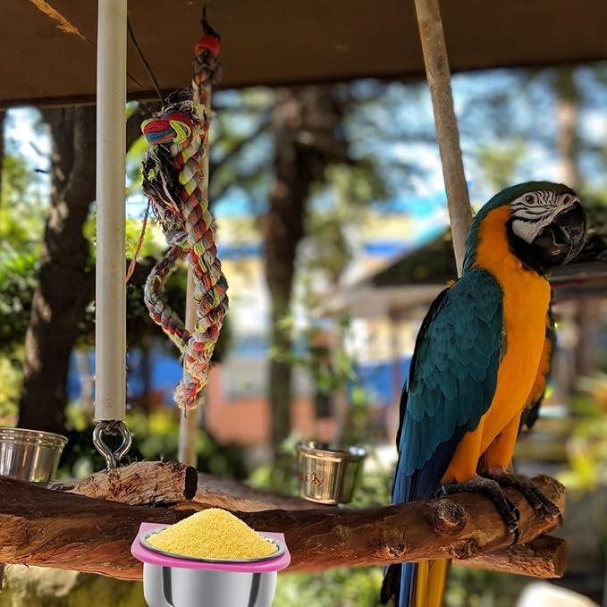 Yardwe Parrot Food Cup and Bird Feeder Bowl Set Small and Large Feeding Cups for Cage Stand Multi-Functional Bird Feeding and Watering Supplies for Pet Parrots