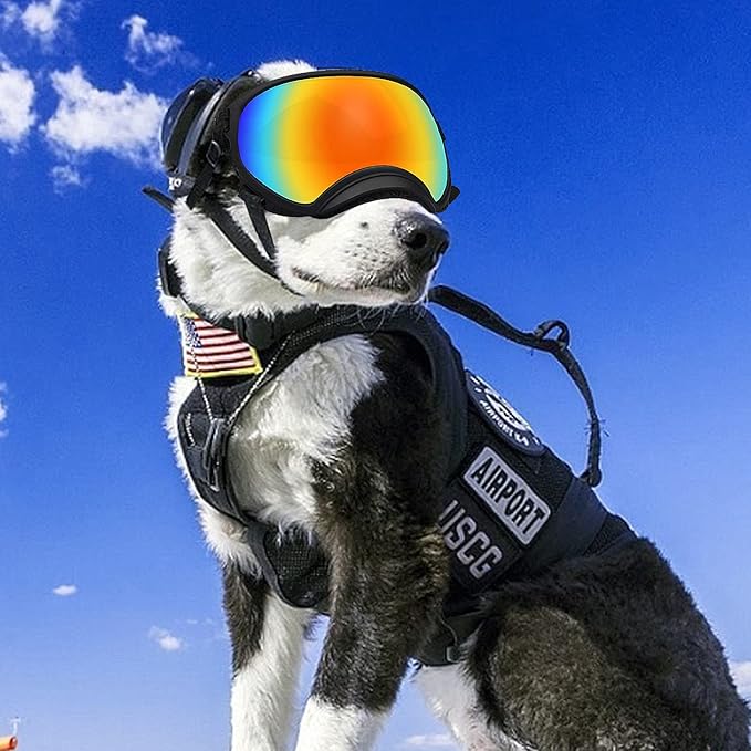Pacify Dog Goggles for Large Dogs, UV Protection Dog Sunglasses with Adjustable Strap for Medium Large Dog Pet Glasses