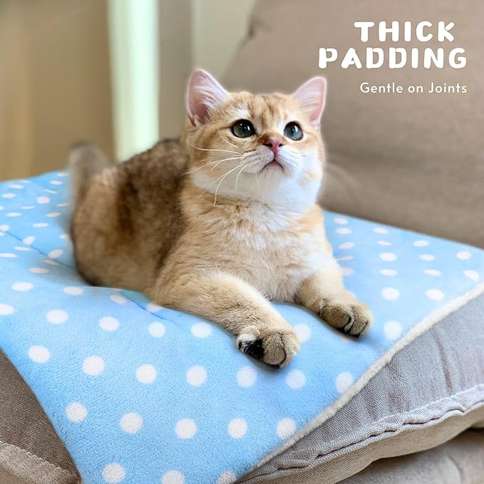 2 Pack Cat Blanket for Indoor Cats Ultra Soft and Warm Calming Cat Bed Fleece Pet Mat for Anxiety and Stress Washable Kitten Blanket