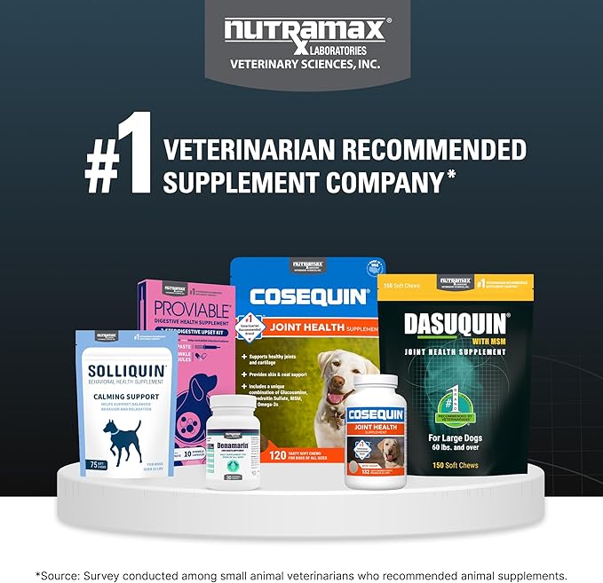 Nutramax Dasuquin for Large Dogs, Joint Health Supplement, Contains Glucosamine for Dogs, Plus Chondroitin, ASU, MSM and More, Supports Healthy Joints, Soft Chews, 84 Count