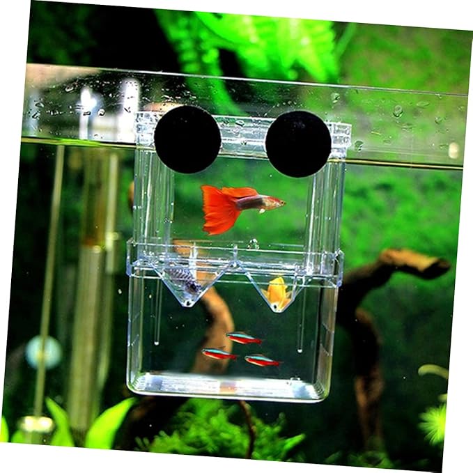 POPETPOP Aquarium Fish Breeding Incubator Box Floating Hatchery for Fish Large Acrylic Cover