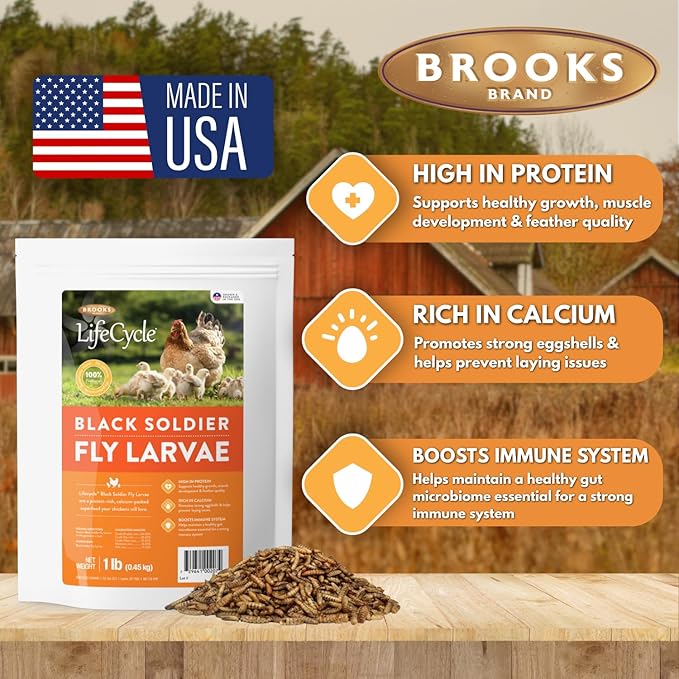 Black Soldier Fly Larvae Chicken Treats, Mealworms Alternative, Grubs for Chickens, High Calcium for Laying Hens, Made in USA, 1 lbs