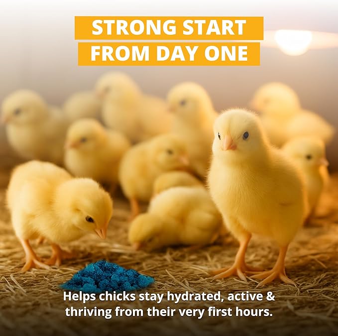 Stromberg's Peck n' Grow, Balanced Hatchling Nutrition Supplement with Probiotics and Essential Vitamins, Instinct-Promoting Chick Starter Formula for Strong Early Growth, 0.28 oz Pack for 100 Chicks