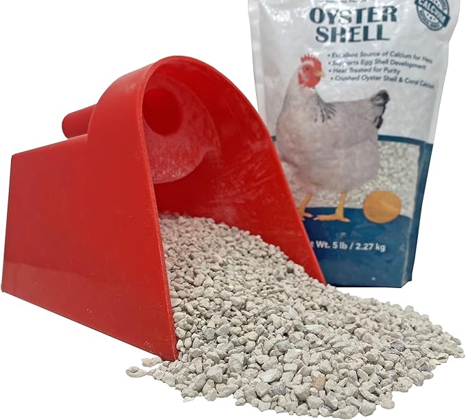 Pecking Order Oyster Shell, Calcium Supplement, Laying Hens | Strong Egg Shells | 5 LB | Pack of 2