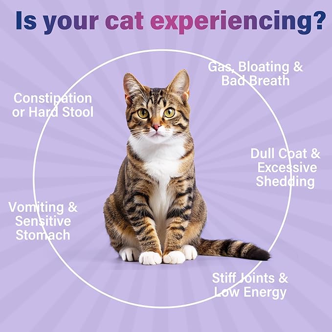Liquid Probiotics for Cats with Prebiotics & Collagen, Digestive Health Supplement for Constipation, Diarrhea Relief & Immune Support, Skin and Coat Stool Softener, Chicken Flavor, 2 fl oz