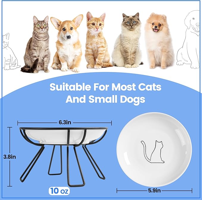 Ceramic Elevated Cat Bowls - Whisker Friendly, Anti-Vomiting, Stylish & Hygienic Cat Bowl Set (Line Cat, 2 Pack)