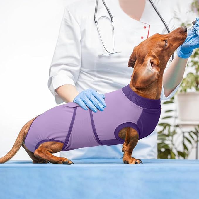 Kuoser Recovery Suit for Dogs After Surgery, Soft Dog Surgery Suit Female Male, Breathable Pet Surgical Recovery Shirt, Anti Licking Dog Onesie for Abdominal Wounds Cone Alternatives, Purple XS