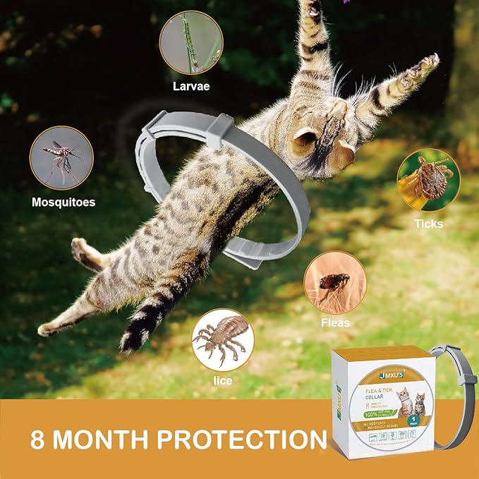 Flea and Tick Collar for Cats &Kitten, Natural Essential Oil Flea and Tick Prevention for Cats, 15 Inch, 8 Month Protection, 2 Pack