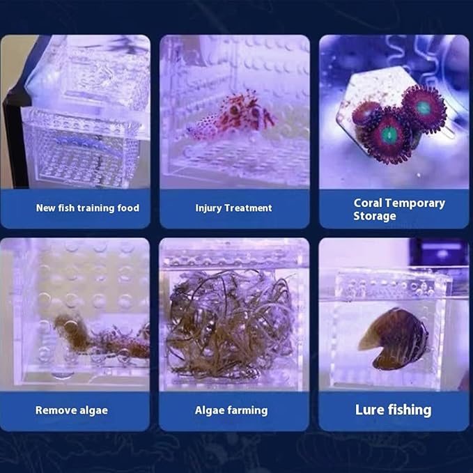 Acrylic Fish Breeding Box, Magnetic Fish Isolation Box Fish Separator for Aquarium Hatchery Incubator Tank for Baby Fishes Shrimp Clownfish Guppy (Small, Reinforced Magnetic Model)