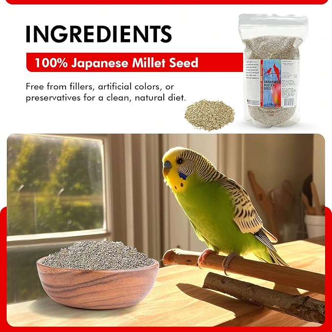Morning Bird Japanese Millet Seed Bag 1.5 lbs - Healthy & Nutritious Pet Bird Food to Support Health & Immunity - Delicious Unique and Natural Flavor – Ideal Bird Feed for All Seed Eating Birds