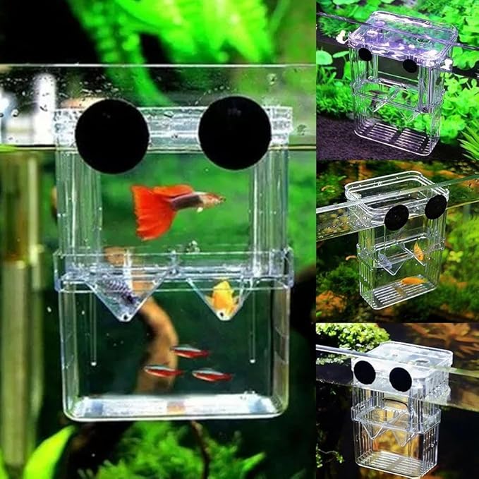 Generic Aquarium Fish Breeding Box, Acrylic Guppy Breeding Tank Hatchery Incubator, Transparent Isolation Box, 10*8*7cm/3.93*3.15*2.75inch