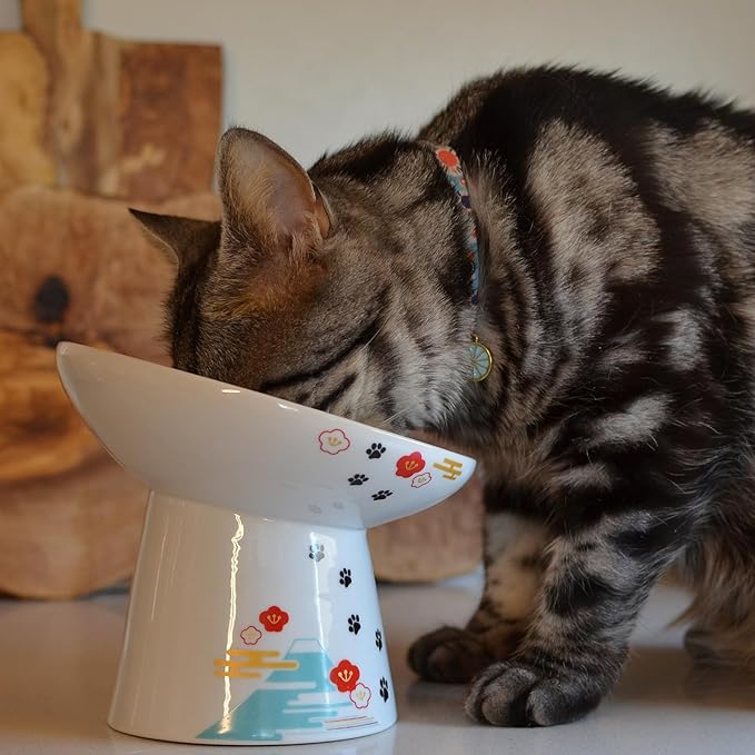 Necoichi Raised Cat Food Bowl – Ceramic Elevated 15° Tilted cat Bowl for Whisker & Neck Fatigue, Dishwasher & Microwave Safe, Non-Slip Anti-Vomiting Design (Fuji, Extra Wide Tilted, 1.5-Cups Capacity)