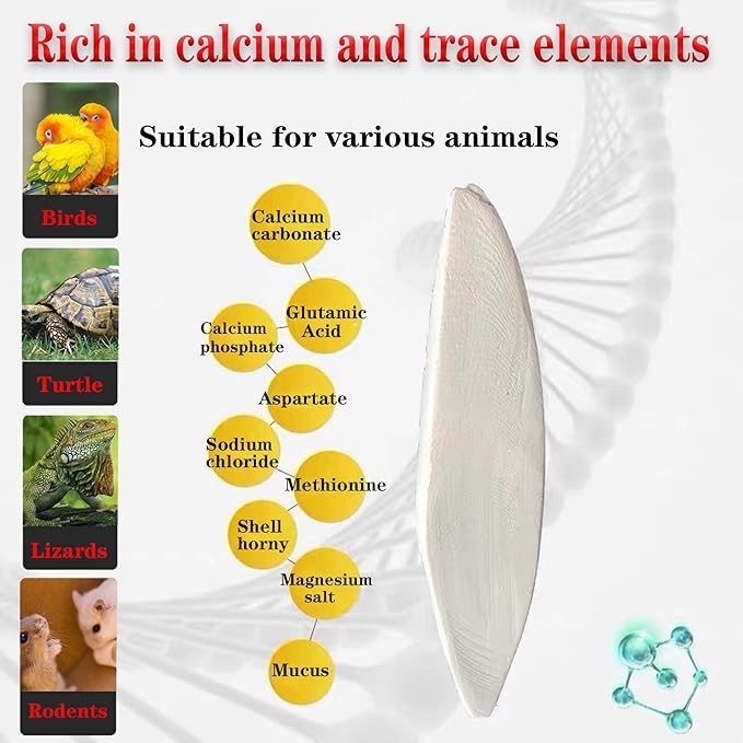 Bird Cuttlebone for Parakeets Cuttlebone for Birds - 103% Natural Cuttlefish Bone Bulk Chew Toy Bird Bites Calcium Stone for Canaries Tortoises,Snails,Reptiles,Parrots,Cockatiel