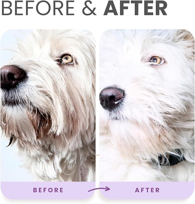Lillian Ruff PRO Formula Ultra Brightening Dog Shampoo - Professional Whitening & Long-Lasting Odor Eliminator, Remove Stains & Discoloration, Dry Skin & Itch Relief - Aloe & Provitamin B5 16oz+Brush