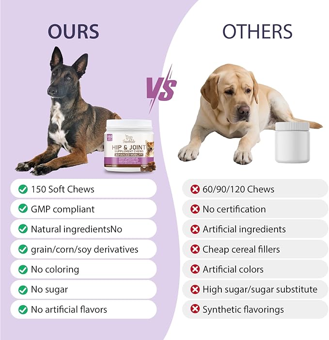 Dog Hip and Joint Supplement Chews - Dog Joint Supplement for Mobility - Canine Hip Support Pain Relief Supplements with Glucosamine, Turmeric, Chondroitin - Chicken Flavored - 150 Soft Chews