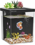 1.5 Gallon Betta Fish Tank Aquarium kit with Filter LED Light, Water Pump, Fish Tank Starter Kits, Fish Bowl