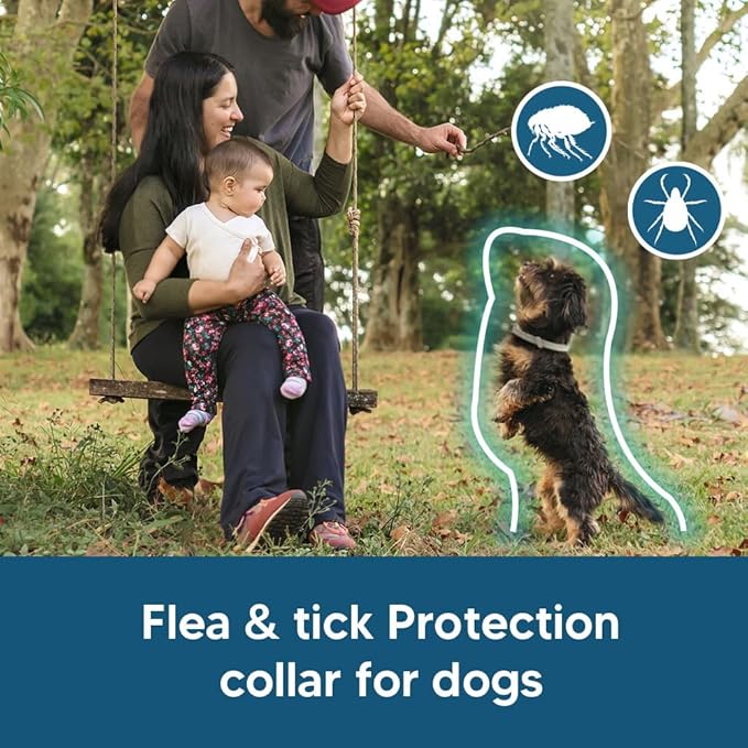 Flea Collar for Dogs Small, Dog Tick Collar,Tick Collars for Dogs, Lasts As Long As 8 Months Per Collars, Easy to Apply-2P
