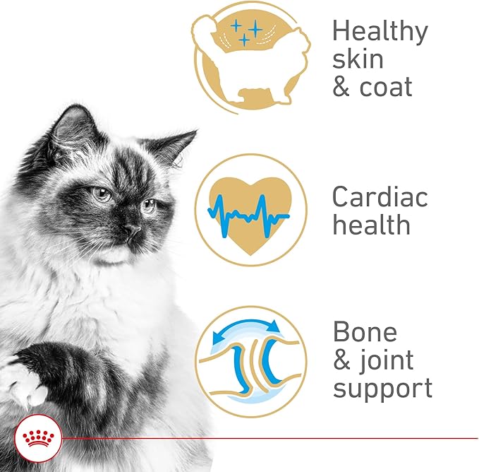 Royal Canin Feline Breed Nutrition Ragdoll Adult Dry Cat Food, 7 lb Bag