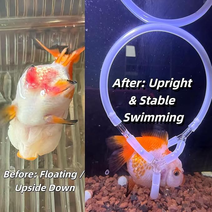 Handmade Adjustable Fish Buoyancy Support Harness – Floating Support Ring for Various Fancy Goldfish, Helps Maintain Upright Position & Swimming Balance (Fits Back Length 8" to 20" (20cm - 50cm))