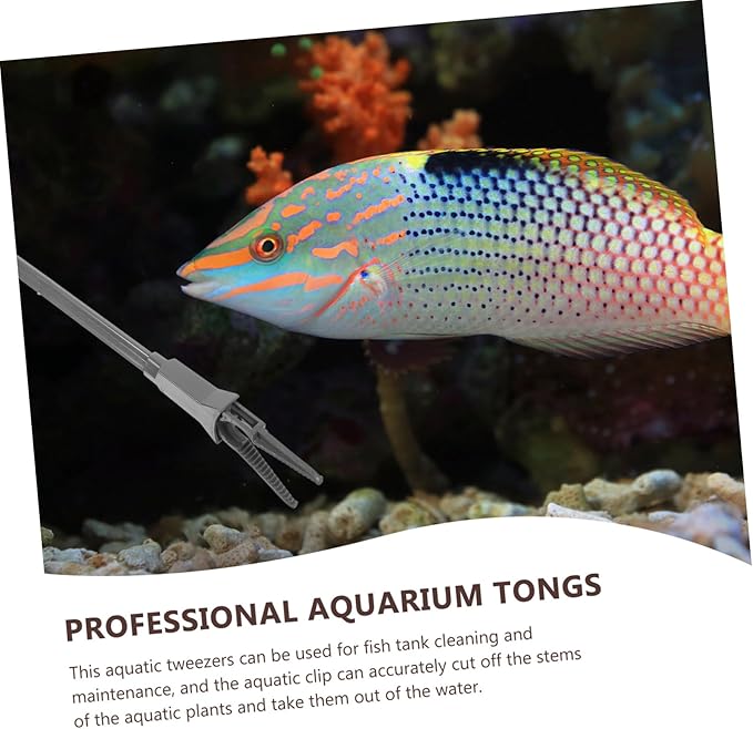 DOITOOL 3pcs Professional Aquarium Feeding Tongs Tweezers for Easy Cleaning Plant Care for Low-Growing Aquatic Plants Fish Tanks and Aquariums