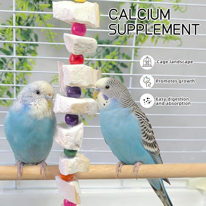 2 Pack Bird Toys, Parakeet Toys with Cuttlebone, Natural Cuttle Bone Bird Beak Grinding Stone & Parrot Chew Cuttlebone Cage Accessories with Bell for Budgie, Conure, Lovebird - 12 Pieces