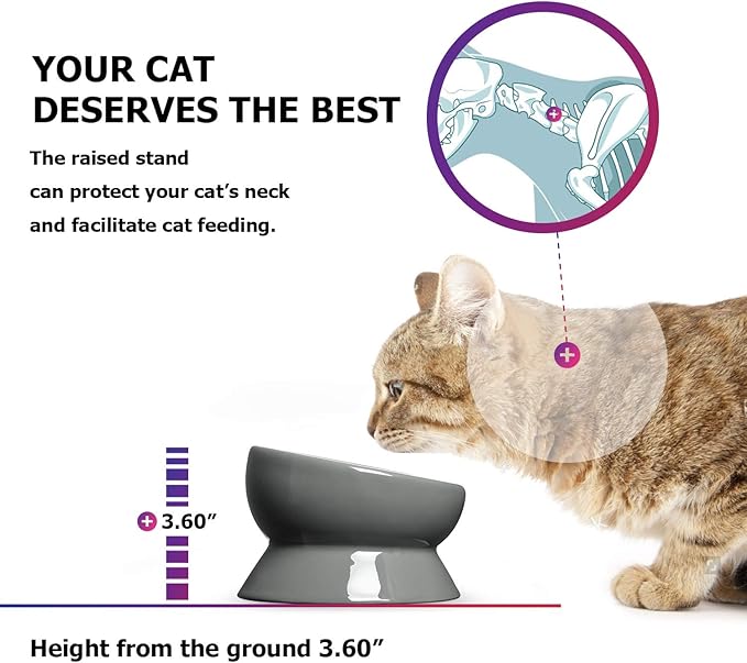 Y YHY Elevated Cat Food Bowl, Raised Pet Food and Water Bowl, Ceramic, 15oz