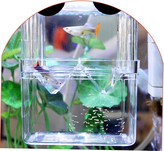 BESPORTBLE Fancy Guppies Live Fish Incubation Box Fish Breeding Tank for Hatchery Safe Easy to Clean