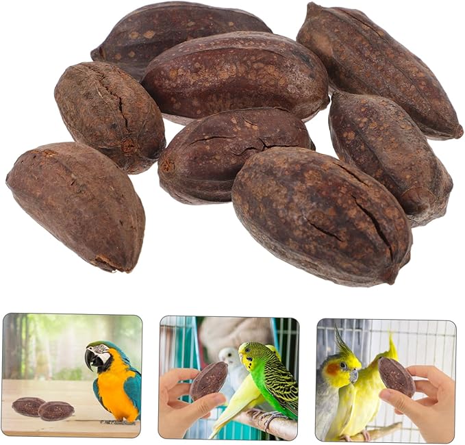 Totority 8pcs Natural Dried Fruit Bird Chewing Toys for Parakeets Cockatiels Healthy Shredding Toys to Reduce Boredom Furniture Fun Parrot Teething Accessories