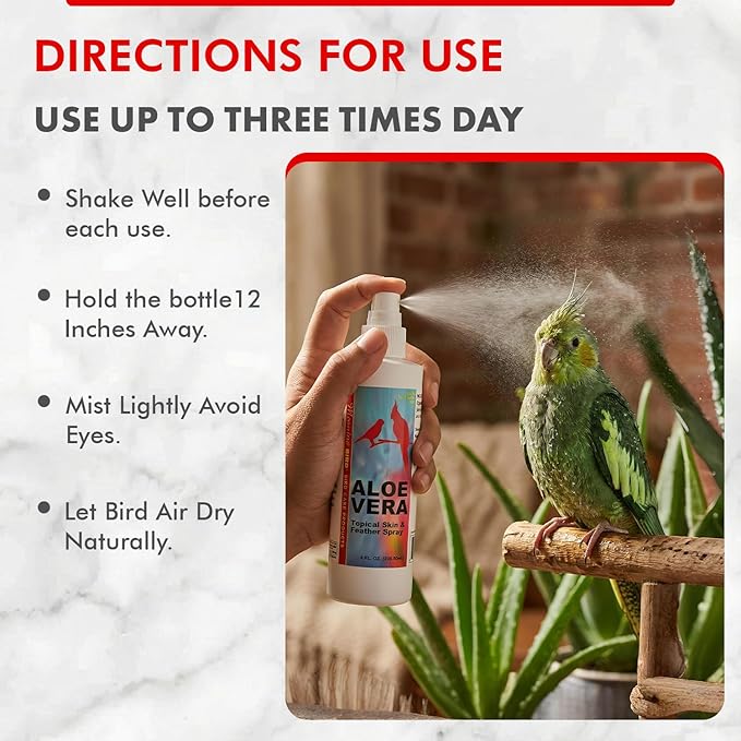 Morning Bird Aloe Vera Spray 4 Fl Oz – Natural Topical Spray for All Birds – Soothes Dry Skin & Supports Healthy Skin – Easy-to-Use Spray Bottle for Gentle Hydration & Skin Relief