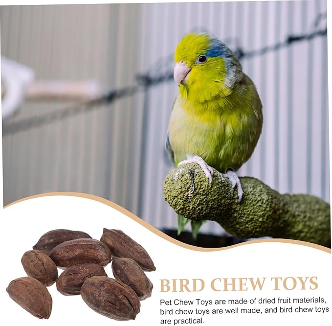 8pcs Parrot Foraging Toy Natural Dried Fruit Chewing Toys Bird for Cage Parrot Chewing Bird Bite