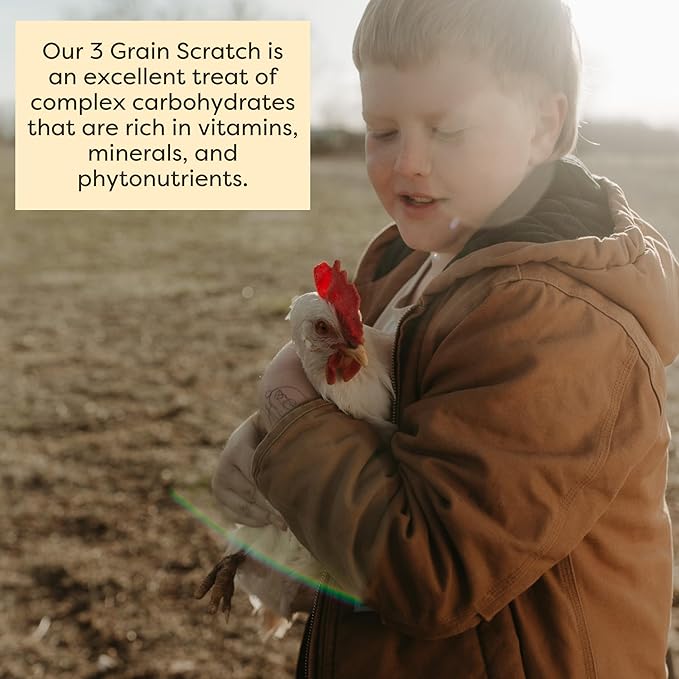 Scratch and Peck Feeds 3 Grain Scratch Chicken and Duck Supplemental Grain - Corn-Free and Soy-Free - 9.8% Protein, Certified Organic and Non-GMO Project Verified Chicken Food - 50 lbs Bag