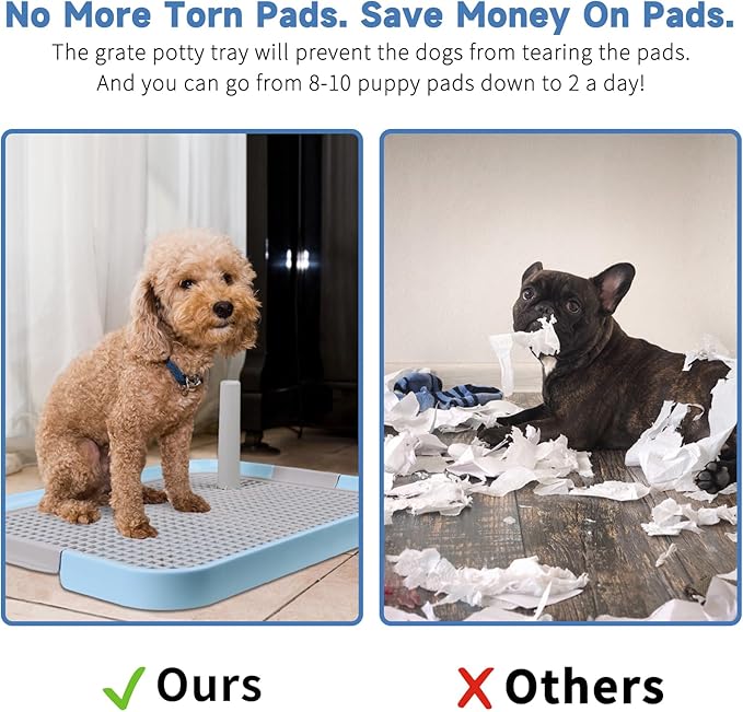 CUHIOY Dog Potty Tray Toilet 20"x14" - Indoor Pee Pad Holder with 8pcs Training Pads, Puppy Mesh Potty with Secure Latch for Small Medium Puppies - Blue