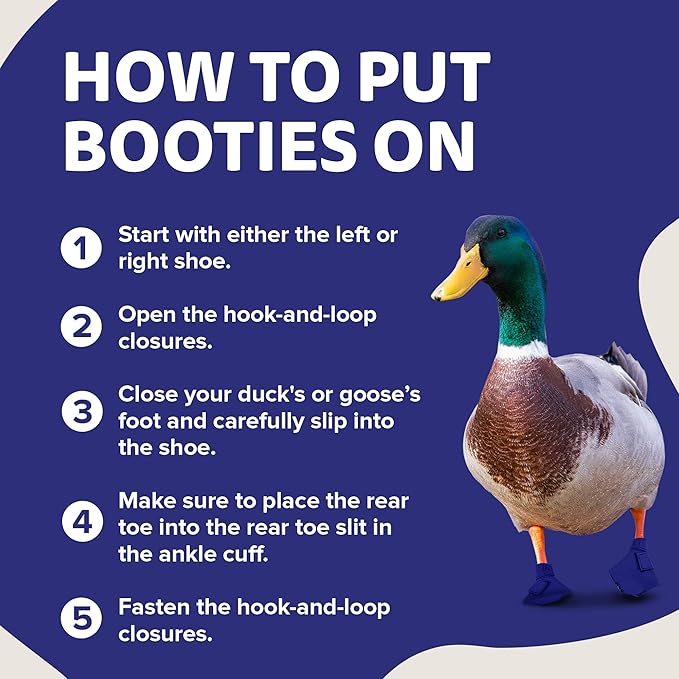 Duck Shoes for Injured Feet – Protective Neoprene Footwear for Ducks, Protective Shoes for Birds with Injured feet, Bumblefoot Relief - Large, 4.5” Max. Inside Width - Navy