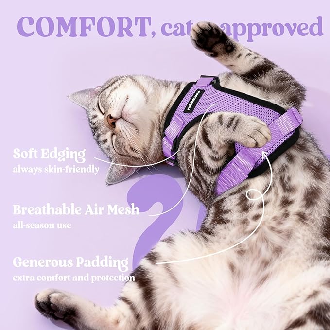 rabbitgoo Cat Harness and Leash for Walking, Escape Proof Soft Adjustable Vest Harnesses for Cats, Easy Control Breathable Reflective Strips Jacket, Light Purple, M