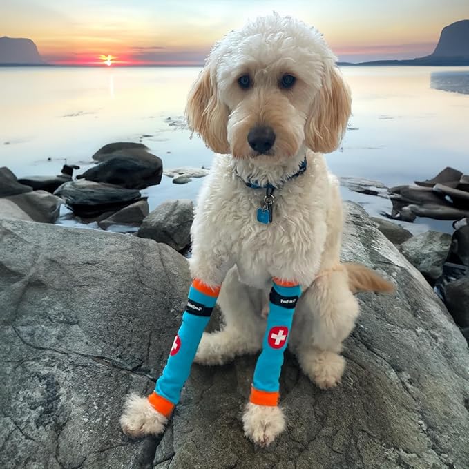 PawFlex Comfy Pawz Cotton Nonslip Protective Leggings for Dogs | Medical Pet Sleeve for Dogs Legs with Non-Slip Silicone Grip at Inner Cuffs and Adjustable Strap for No Twisting or Sliding Down