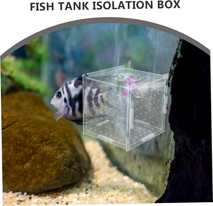 Milisten Breeder Box for Fish Tank Transparent Acrylic Isolation Box Aquarium Fish Breeding Trap