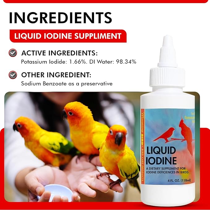 Morning Bird Liquid Iodine for Birds 4 fl oz – Iodine Mineral Supplement – Supports Feather Growth, Molting, Energy & Healthy Thyroid Function – Easy-to-Use Drops