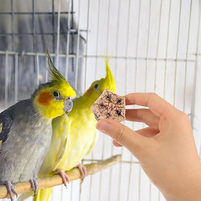 12pcs Natural Parrot Chewing for Budgie Parakeet Bird Foraging Accessories with Crunchy Texture Healthy Beak Grinding to Prevent Furniture Damage and Loneliness