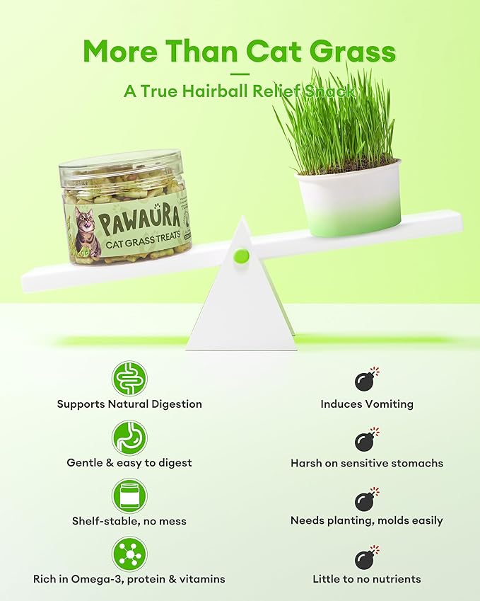 3.53oz Cat Grass Treats for Hairball Control – Natural Chicken & Cat Grass & Catnip Biscuits, Low-Calorie Healthy Snacks for Indoor Cats, Digestive & Dental Care