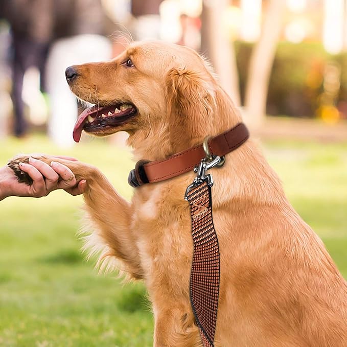 Hi Kiss Dog/Puppy Obedience Recall Training Agility Lead - 15ft 20ft 30ft 50ft 100ft Training Leash - Great for Training, Play, Camping, or Backyard(50ft,Black_Orange)