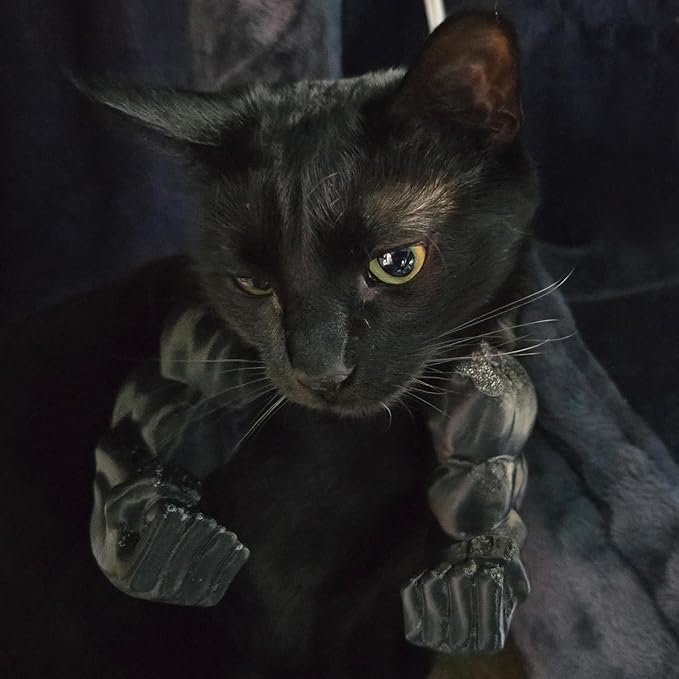 Creative Cat Muscle Arms, 3D Printed Cat Muscle Arm, Halloween Costume Accessory,Funny Muscle Arms for Cats,Cats with Muscular Arms for Kitten Birthday Party Supplies (Black)