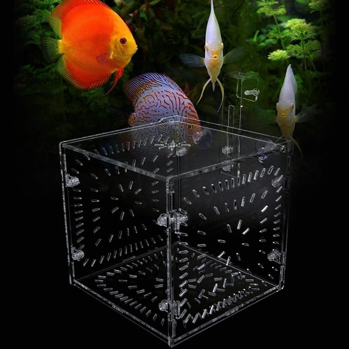 EVTSCAN Aquarium Breeder Box for Fish Tank, Fish Breeding Box Tank Hatchery Incubator Aquarium Isolation Box for Seedlings Incubation(S)
