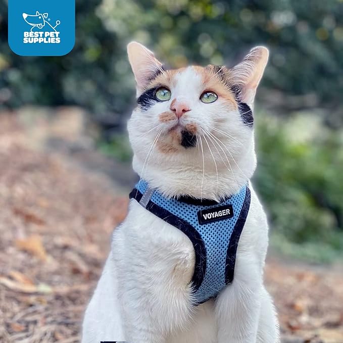 Best Pet Supplies Voyager Step-in Air Harness - All Weather Mesh, Reflective, No Pull Harness for Dogs, Cats - Secure with Hook & Loop Fastener, Buckle, Double D-Rings - Baby Blue/Black Trim, S