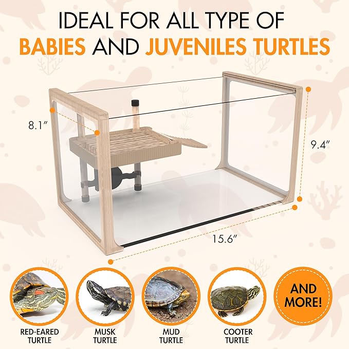 ZENO Turtle Aquarium Kit with Basking Platform - Aquatic Tank with Filter & Light - Perfect Starter Kit for Baby & Juvenile Turtles - Ideal for Kids